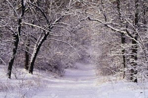 High Park in Winter, Toronto, Ontario, Canada